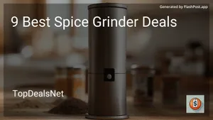 8 Best Spice Grinder Deals in 2025 image