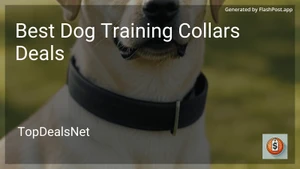 8 Best Dog Training Collars Deals in 2025 image