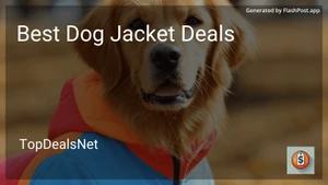 6 Best Dog Jacket Deals in 2025 image