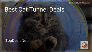 8 Best Cat Tunnel Deals in 2025 image