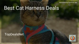 6 Best Cat Harness Deals in 2025 image