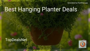 10 Best Hanging Planter Deals in 2025 image