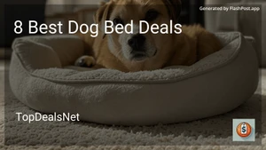 8 Best Dog Bed Deals in 2025 image
