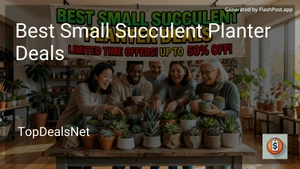 8 Best Small Succulent Planter Deals in 2026 image