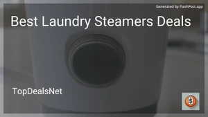 7 Best Laundry Steamers Deals in 2025 image