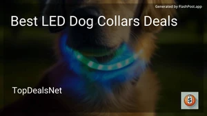 8 Best LED Dog Collars Deals in 2025 image