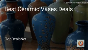 8 Best Ceramic Vases Deals in 2025 image