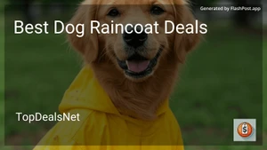 6 Best Dog Raincoat Deals in 2025 image