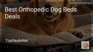 9 Best Orthopedic Dog Beds Deals in 2025 image