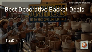 9 Best Decorative Basket Deals in 2026 image
