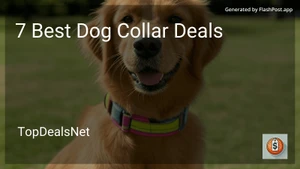 7 Best Dog Collar Deals in 2025 image