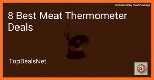 8 Best Meat Thermometer Deals in 2025 image