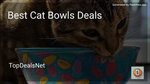 6 Best Cat Bowls Deals in 2025 image