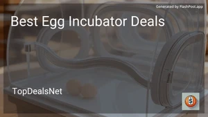 6 Best Egg Incubator Deals in 2025 image
