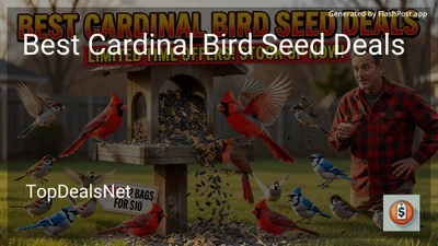 9 Best Cardinal Bird Seed Deals in 2026