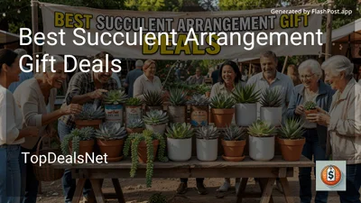 7 Best Succulent Arrangement Gift Deals in 2026