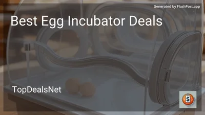 6 Best Egg Incubator Deals in 2026