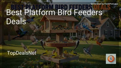 8 Best Platform Bird Feeders Deals in 2026