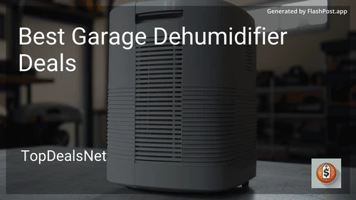 9 Best Garage Dehumidifier Deals in 2025 image