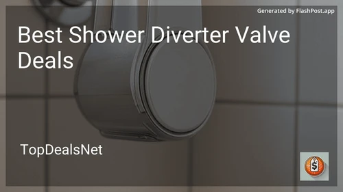 9 Best Shower Diverter Valve Deals in 2026 image