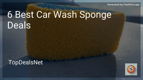 6 Best Car Wash Sponge Deals in 2025 image