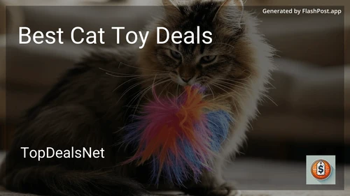 10 Best Cat Toy Deals in 2025 preview