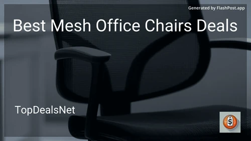 9 Best Mesh Office Chairs Deals in 2025 image