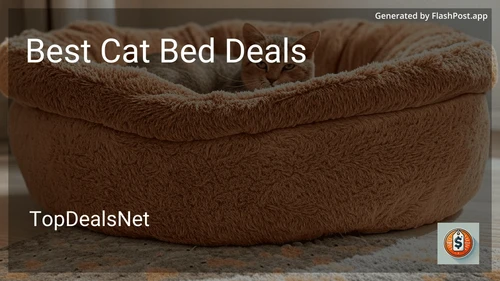 8 Best Cat Bed Deals in 2025 image
