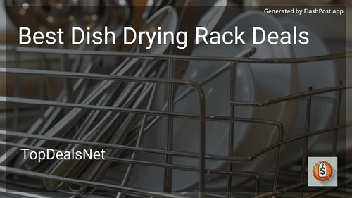 6 Best Dish Drying Rack Deals in 2025 image