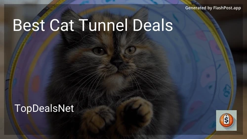 8 Best Cat Tunnel Deals in 2025 preview