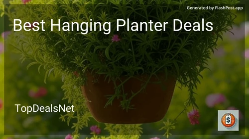10 Best Hanging Planter Deals in 2025 image