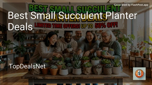 8 Best Small Succulent Planter Deals in 2026 image