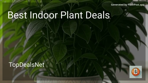 7 Best Indoor Plant Deals in 2025 image