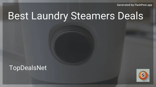 7 Best Laundry Steamers Deals in 2025 image