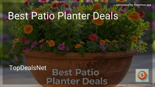 9 Best Patio Planter Deals in 2025 preview