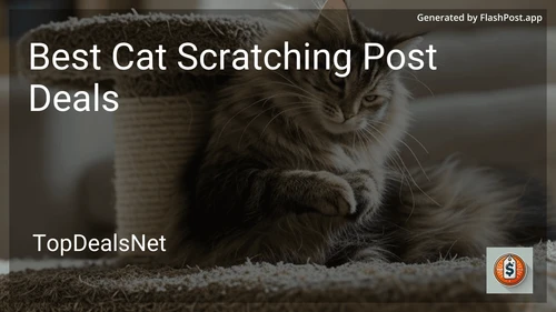 7 Best Cat Scratching Post Deals in 2025 image
