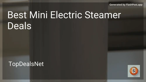 9 Best Mini Electric Steamer Deals in 2026 image