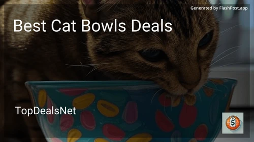 6 Best Cat Bowls Deals in 2025 image
