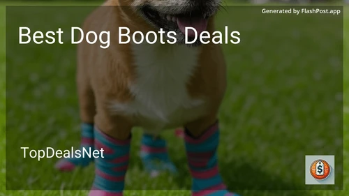 9 Best Dog Boots Deals in 2025 image