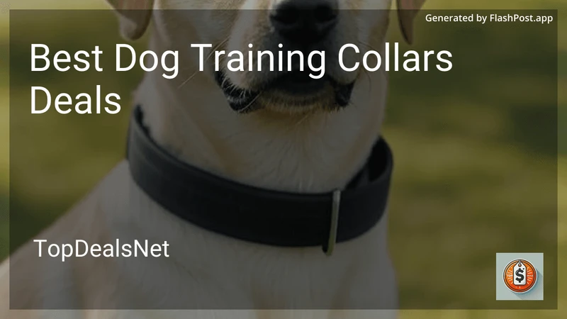 8 Best Dog Training Collars Deals in 2026 preview