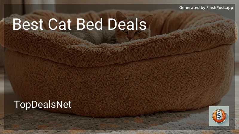 8 Best Cat Bed Deals in 2026 preview