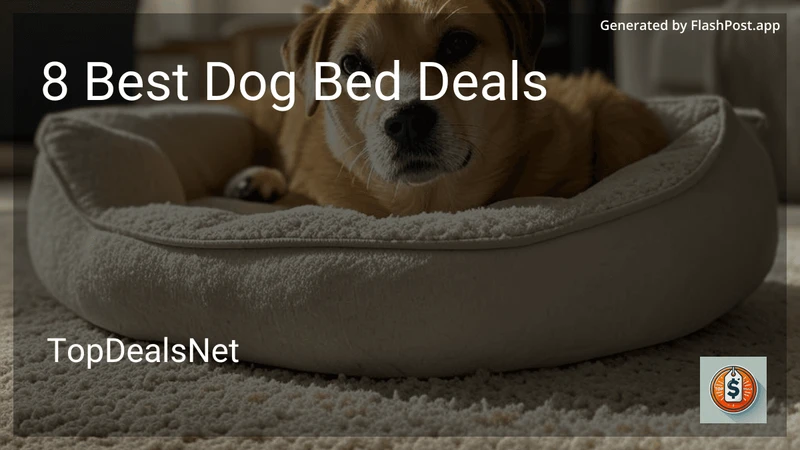 8 Best Dog Bed Deals in 2026 preview