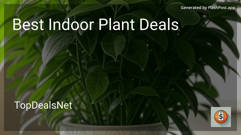 7 Best Indoor Plant Deals in 2026 preview