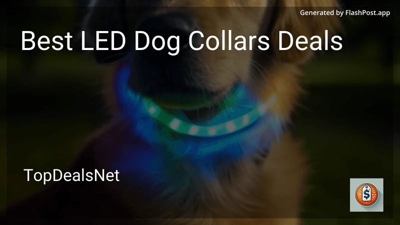 8 Best LED Dog Collars Deals in 2026 preview