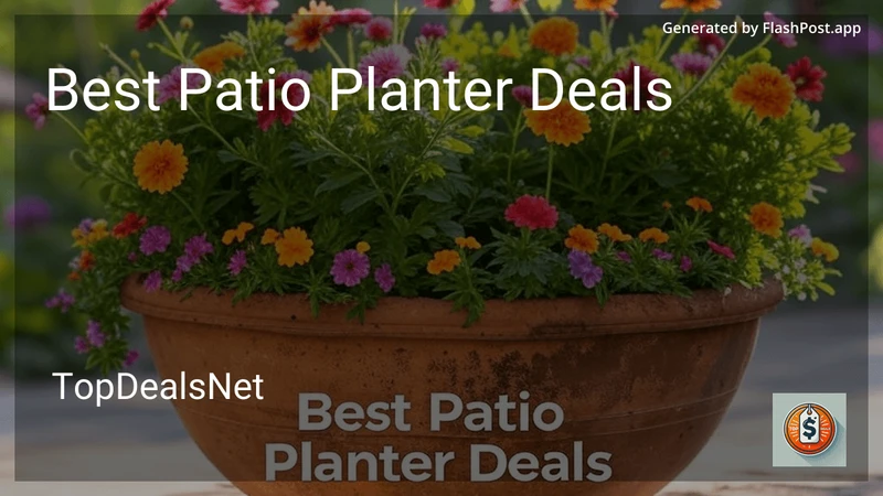 10 Best Patio Planter Deals in 2026 preview