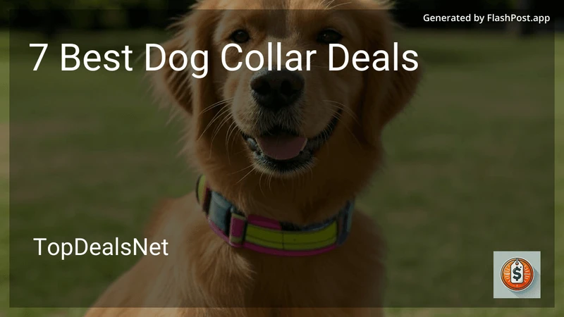 7 Best Dog Collar Deals in 2026 preview