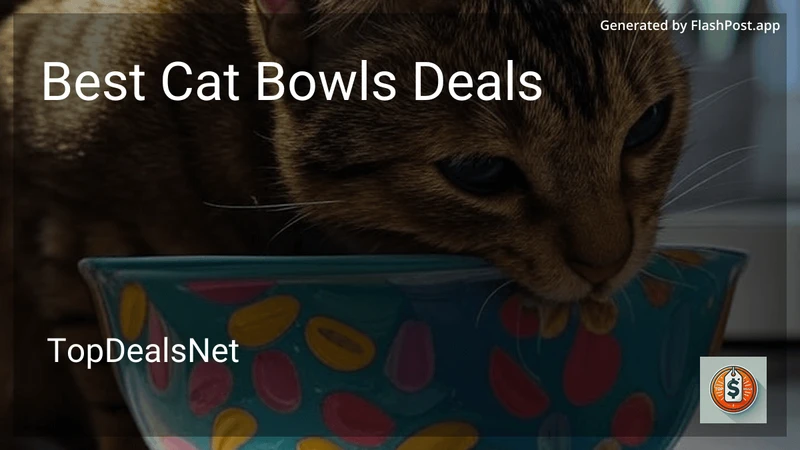 6 Best Cat Bowls Deals in 2026 preview