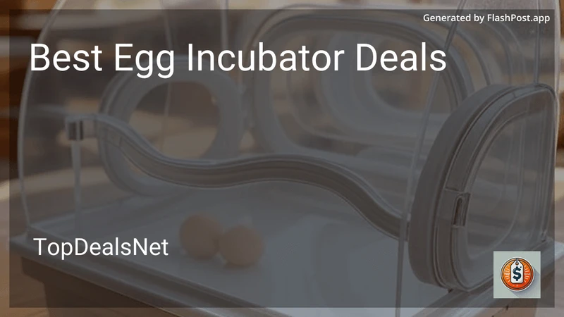 6 Best Egg Incubator Deals in 2026 preview