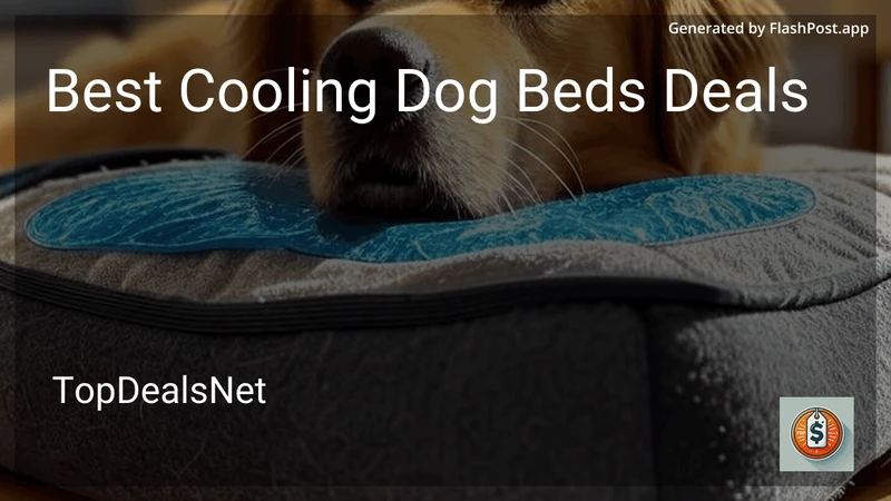 9 Best Cooling Dog Beds Deals in 2026 preview
